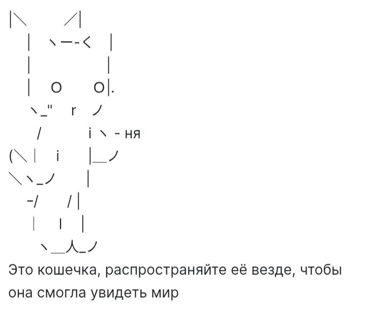 Вы наверное уже видели эту кошку. Так вот. Люди её запускают что бы она увидела мир. Но делая посты здесь, кроме мемозга