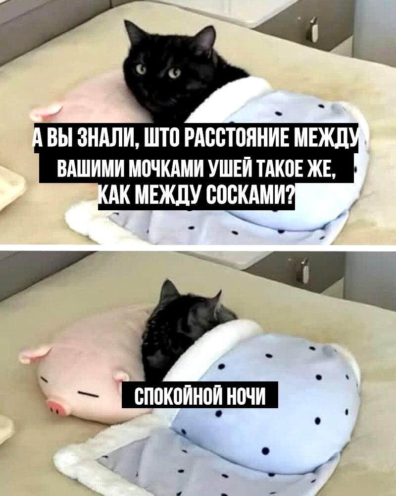 Мем от Алексей Сова