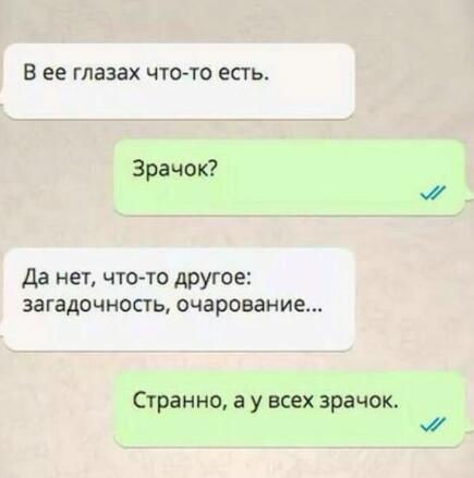 Скриншот переписки, где один собеседник ищет загадочность, а другой указывает на обычный зрачок