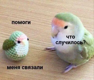 Белый голубь пьёт из жестяной банки, рядом три пивные банки, надпись ПОБУХАЙЧИК (2 из 2)