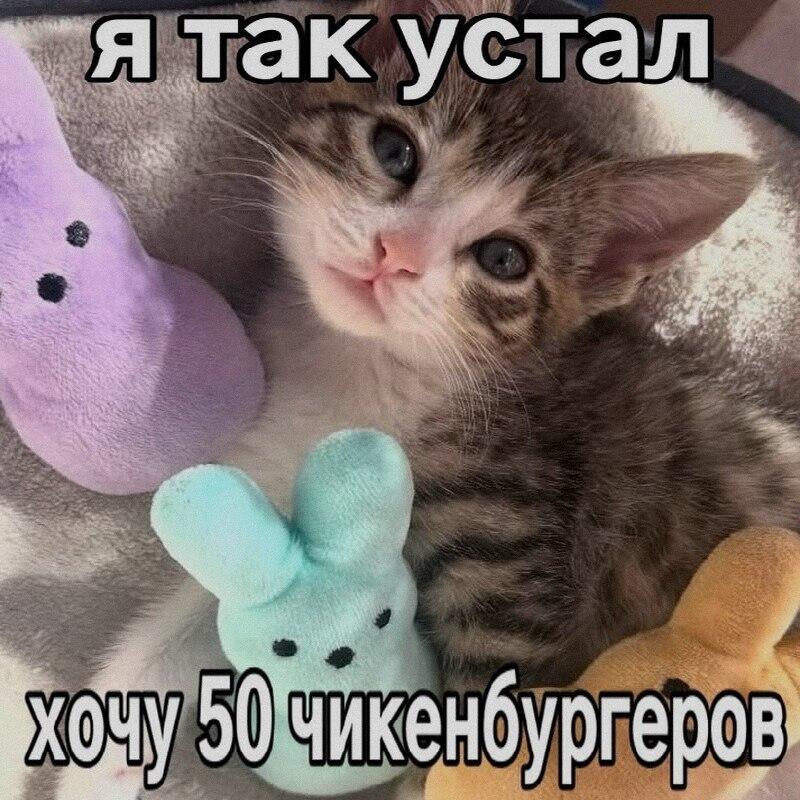 Ну я