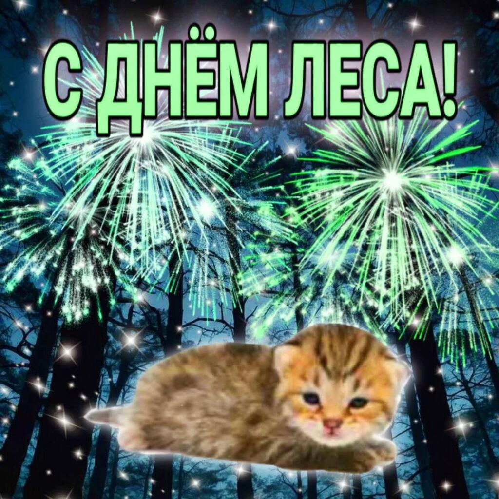 С днём леса!
15 Сентября - Отмечается день леса
Поздравляй друзей, которые живут в лесу