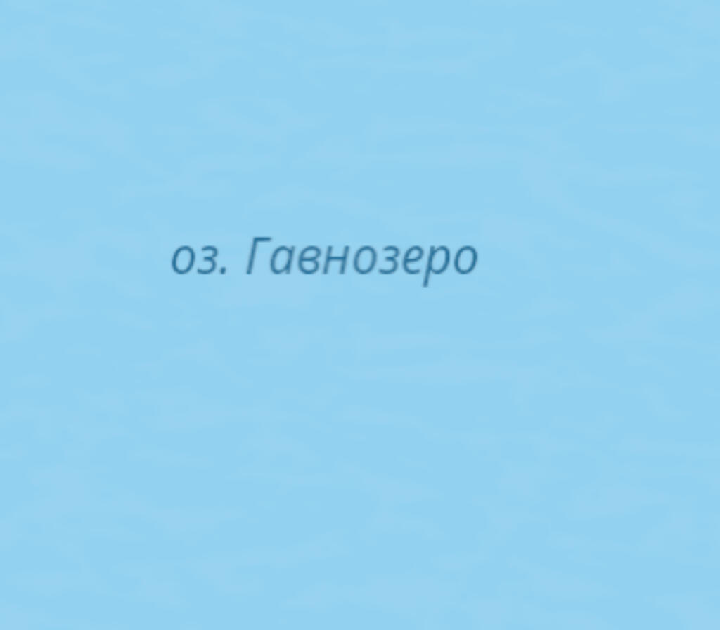 Озеро гавнозеро
1) скрин из 2ГИС
2) как выглядит гавнозеро