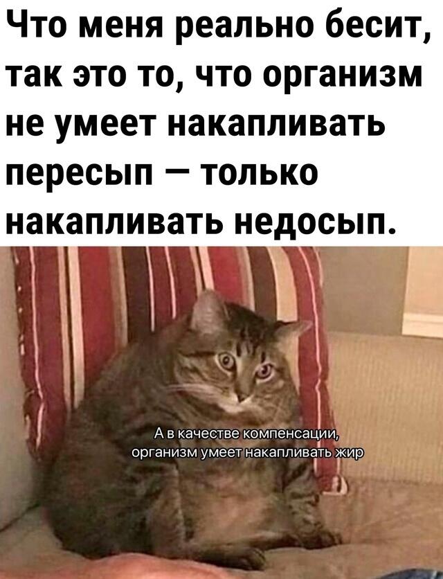 Мем от КотоУт