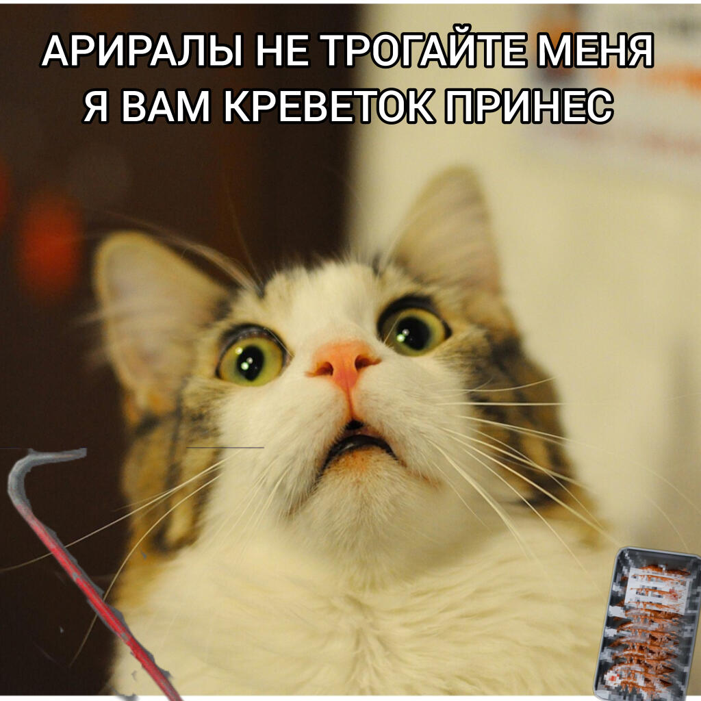 1 день в Voices of the Void: *просто работа* 30 день в Voices of the V...
