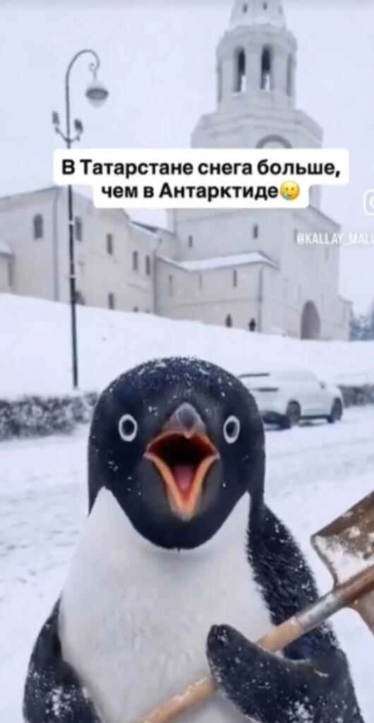 Кто тоже с татарстана?