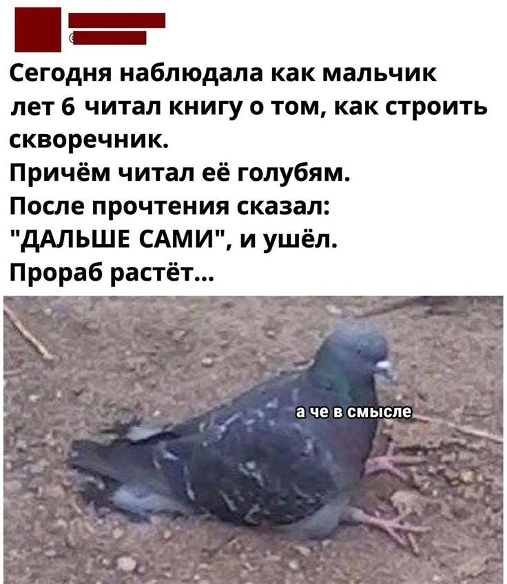 А что, так можно было??