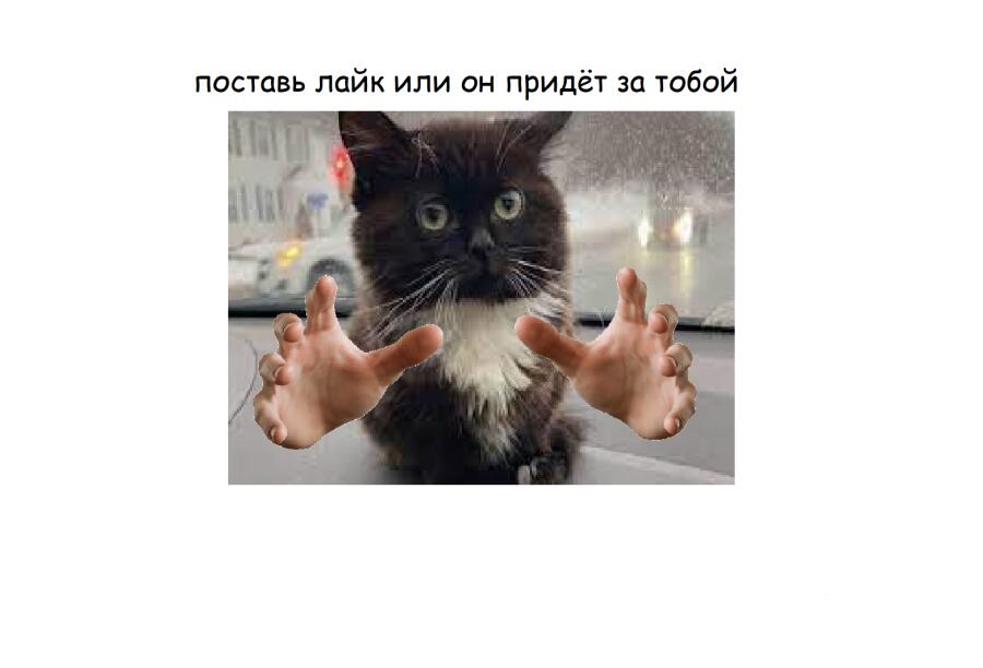 И подпишись!