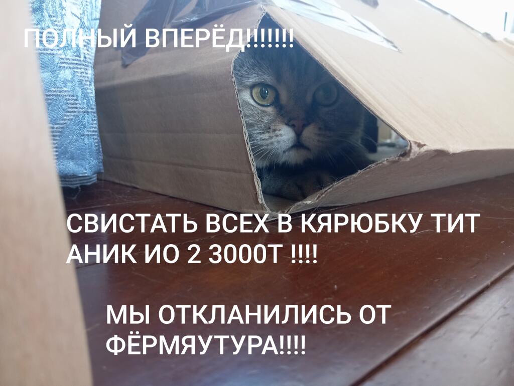 Кот смотрит из картонной коробки, вокруг надписи про танки и свист