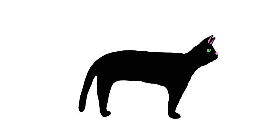 Вот вам чёрный кот