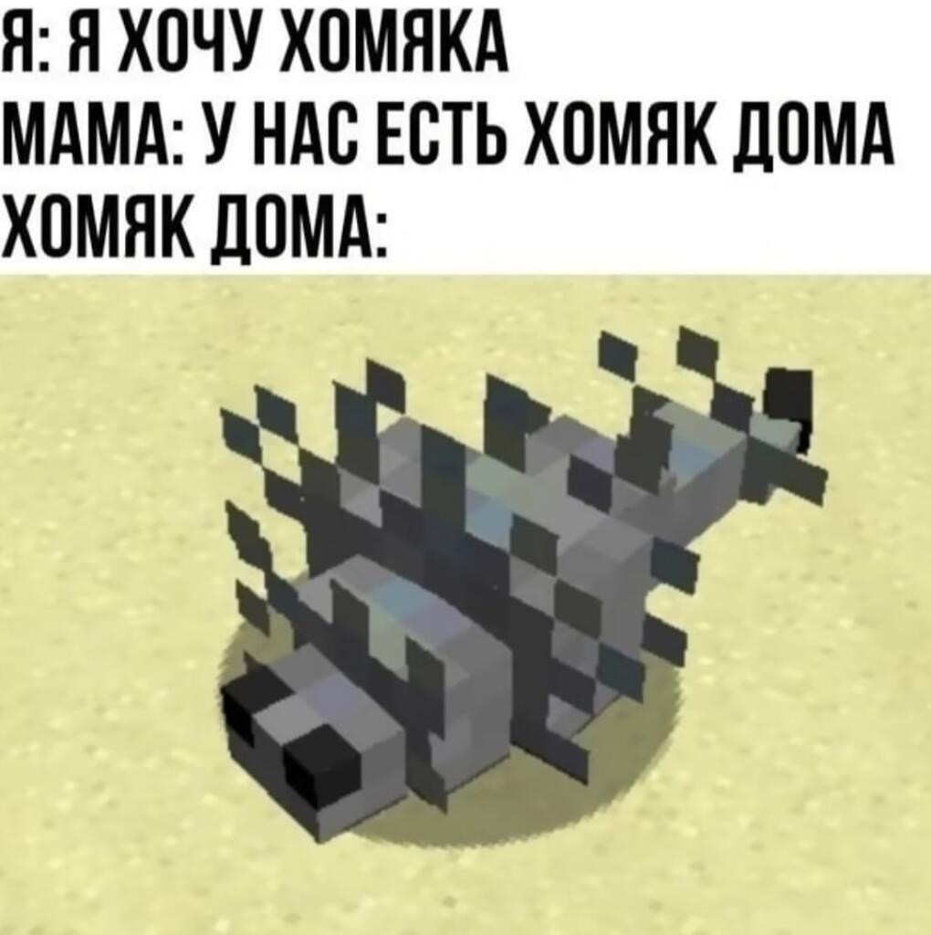Пиксельный волк из Майнкрафта лежит на песке под надписью о хомяке, которого мама не даёт