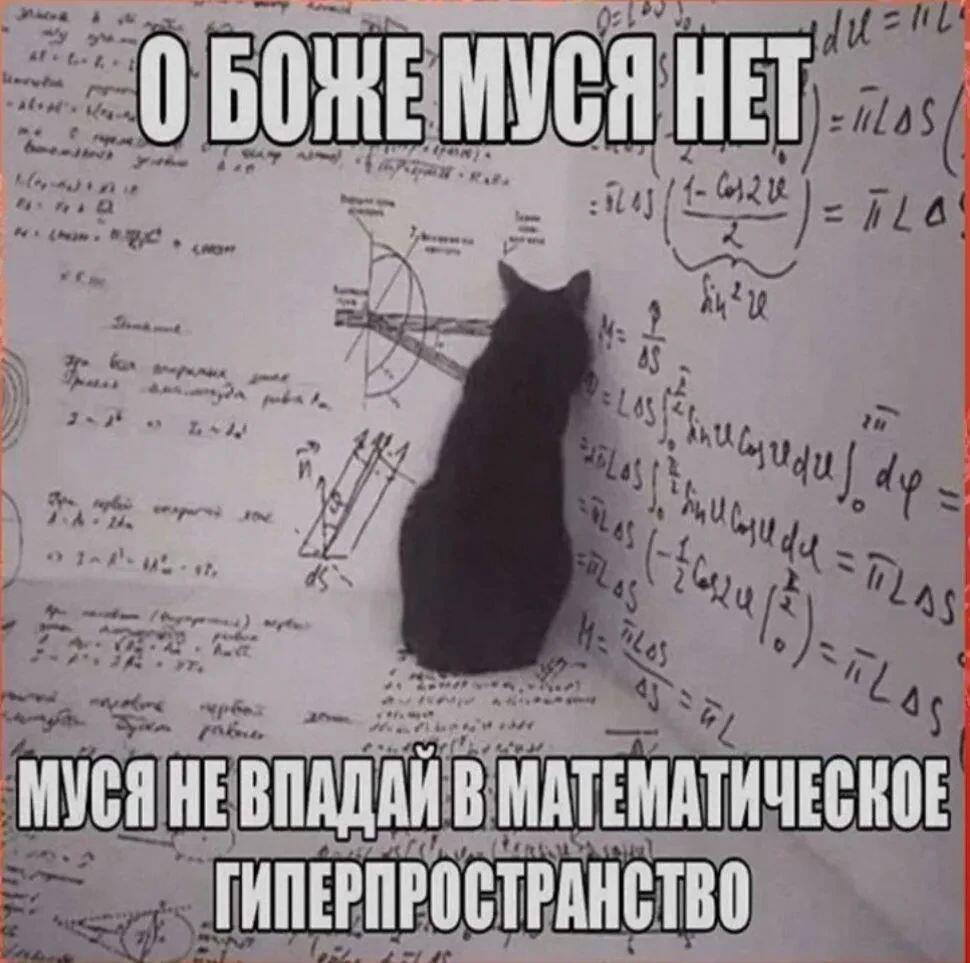 Муся нееееееееет!