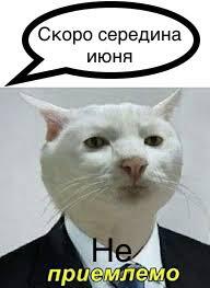Мем от Будка Би и Уэфа