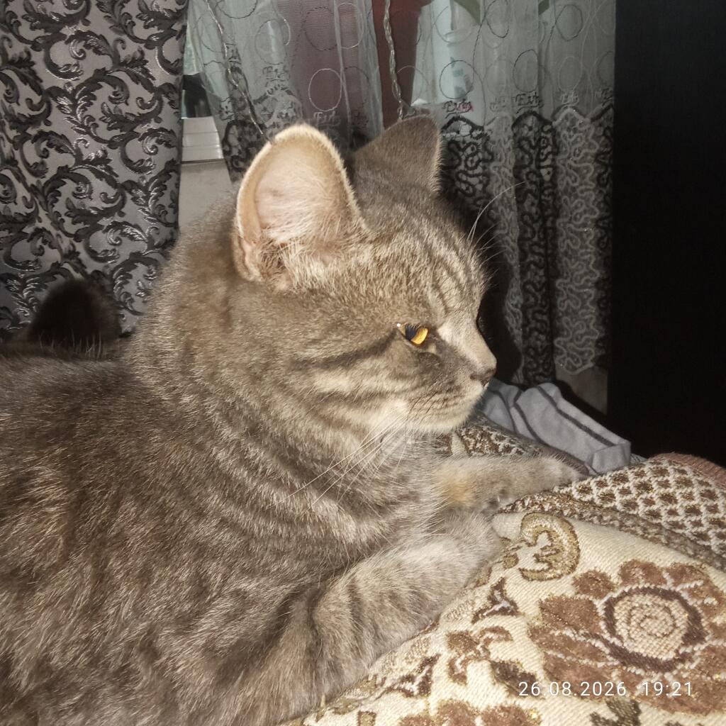 ОН ТАК МИЛО ВЫГЛЯДИТ 😭♥️