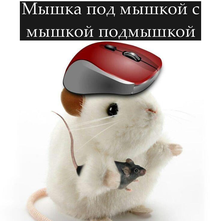 Мем от Линк