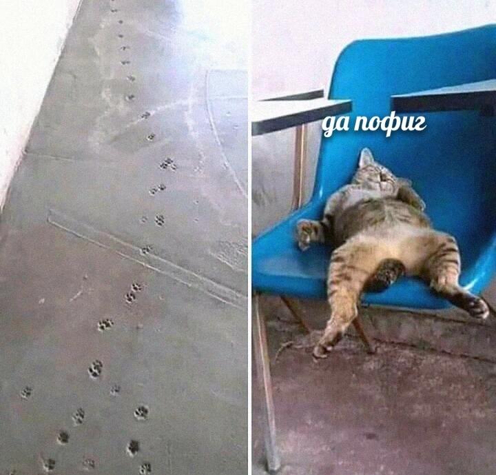 0% раскаявания