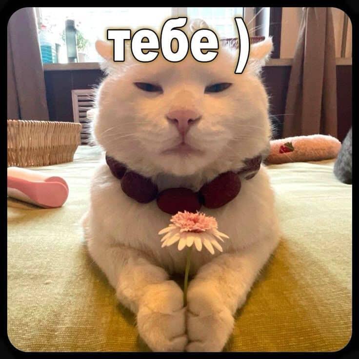 вам :)
