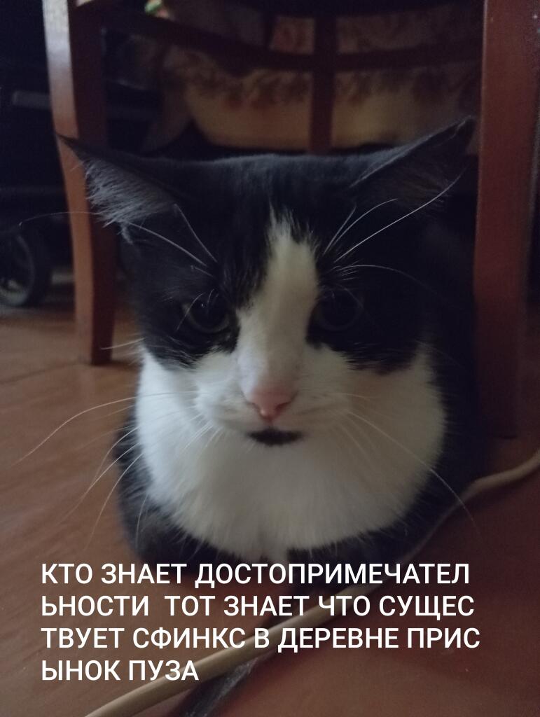 Мем без подписи