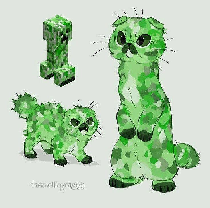 Хехе кот
крипер :3
