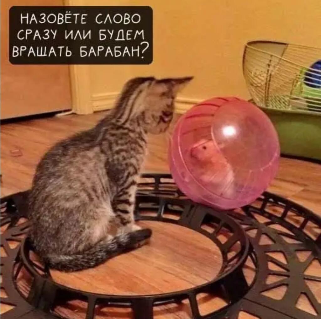 Мем без подписи