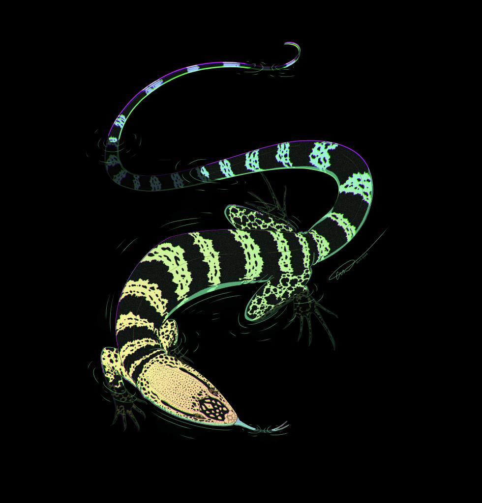 Подарок для Mr_Reptail 🦎