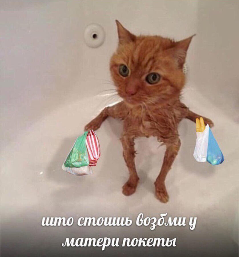 Мем от egor555yey