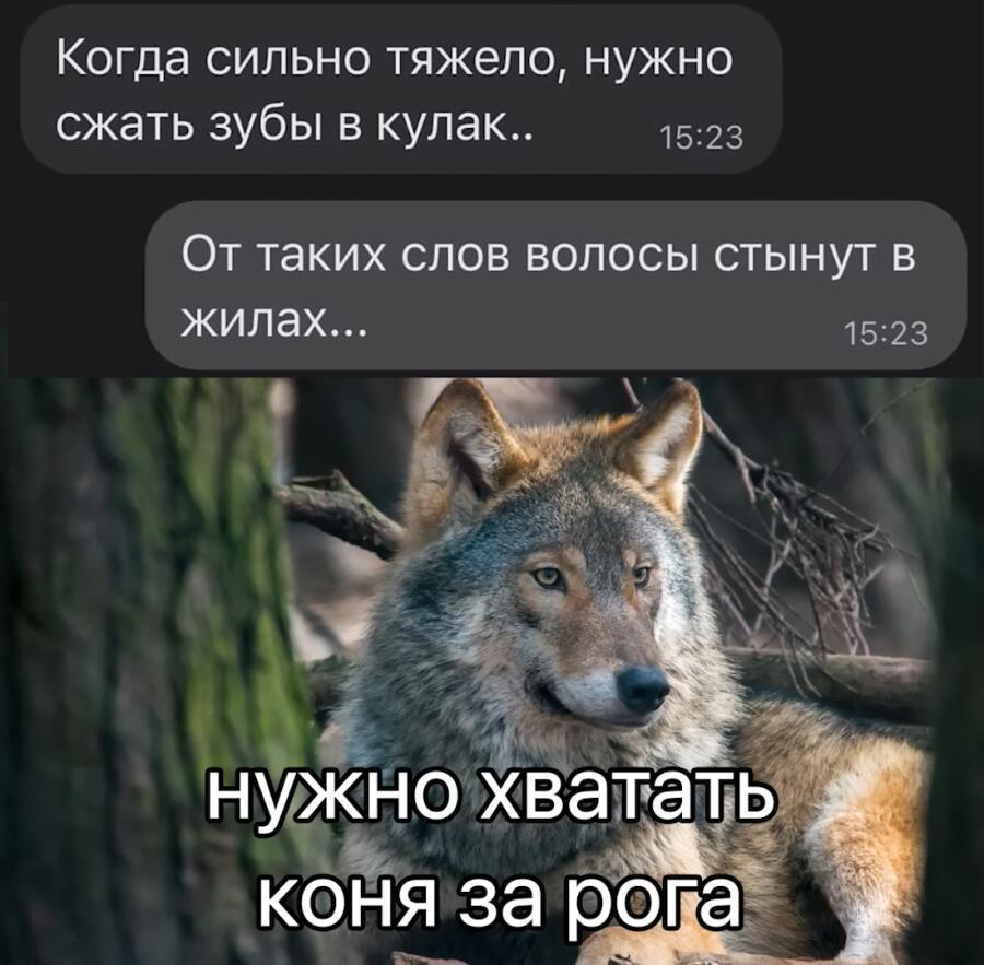 Задумайтесь....