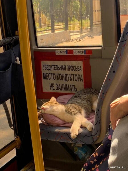 Спит на рабочем месте, что за брзответственные работники.
