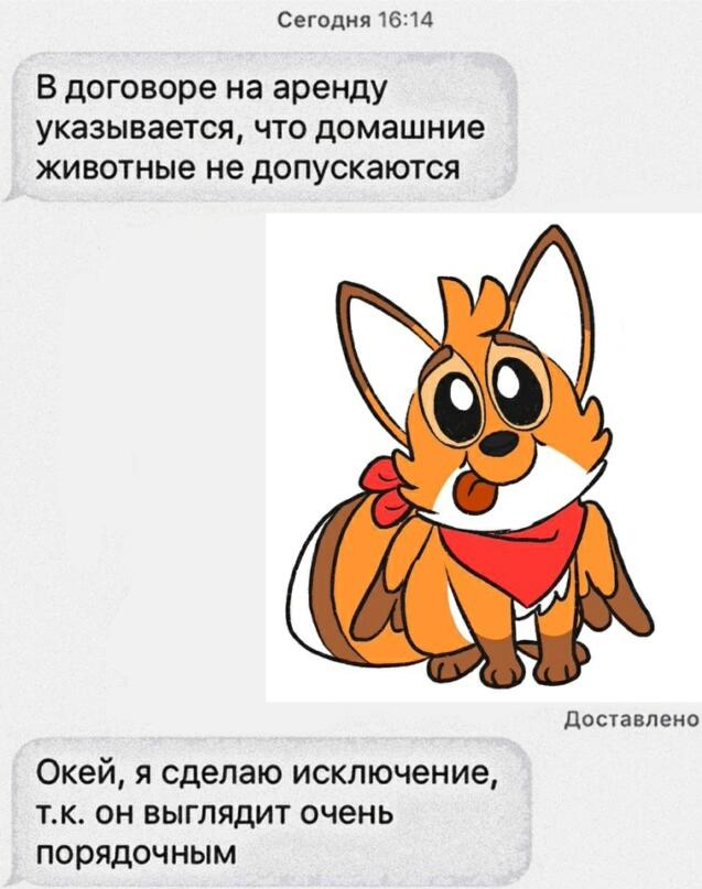 В поисках фанатов Billie Bust Up, день 4