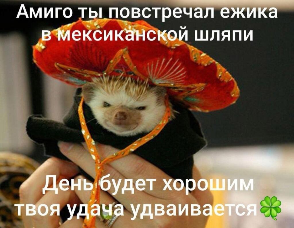 Мем от Сметана CHUP