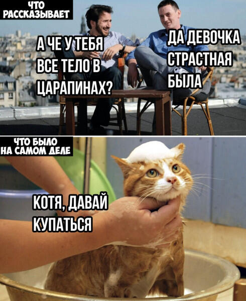 Жиза