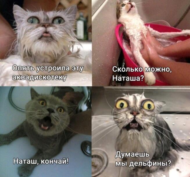 Мем