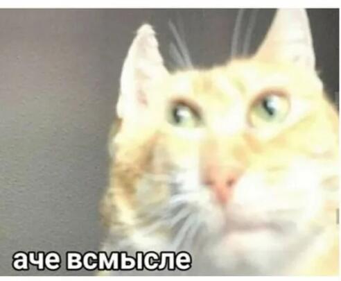 Когда тебе говорят перестать тыгыдыкать в 3 ночи: