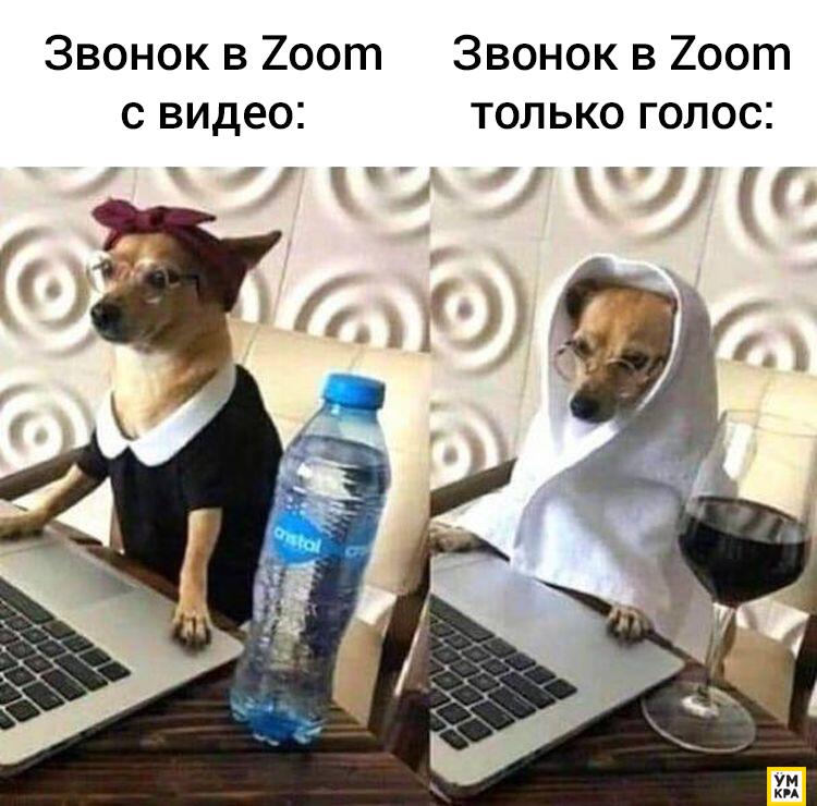 Мем без подписи