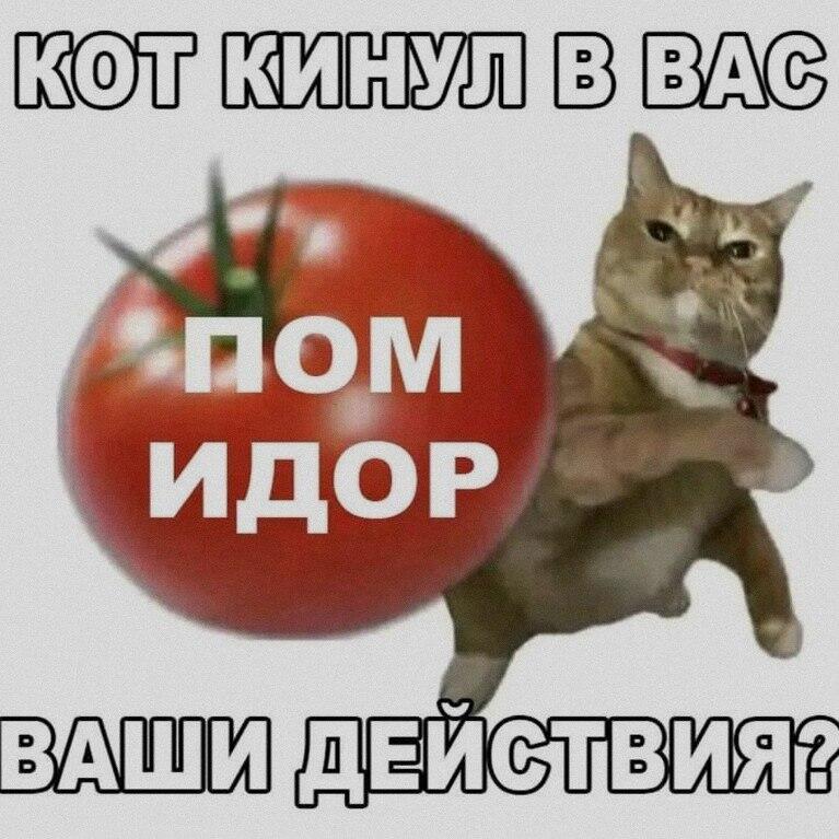 Мем от Милый Котяра