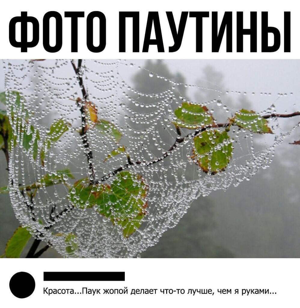 пхпхпх))