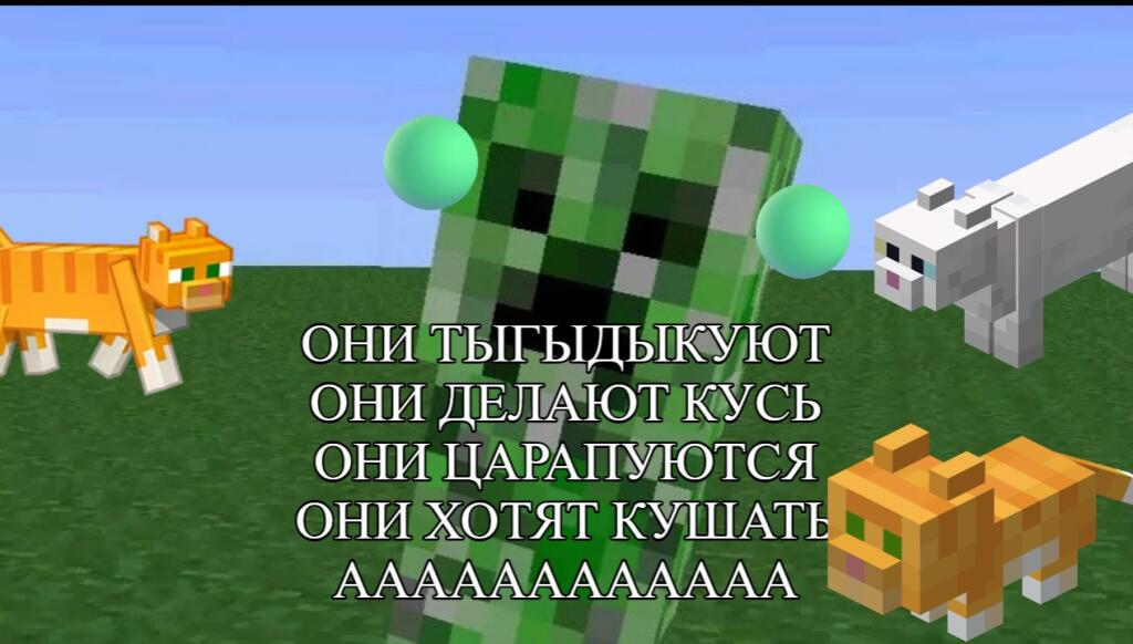 кажется я понял почему криперы боятся котов...