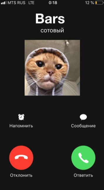 (\_/)
( •.•)
 /> https://t.me/boba_lol_xaxax 
(тг группа)
