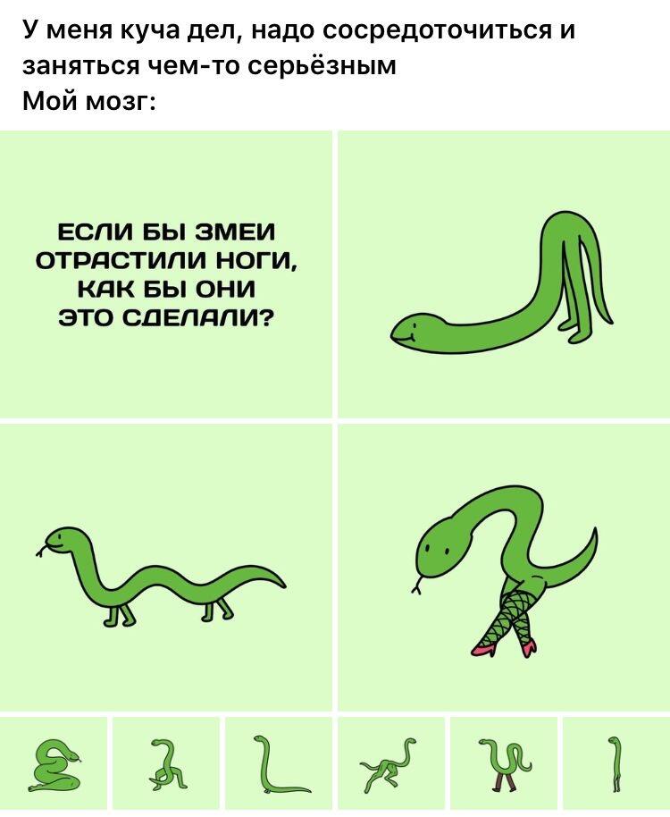 Змейки>:3