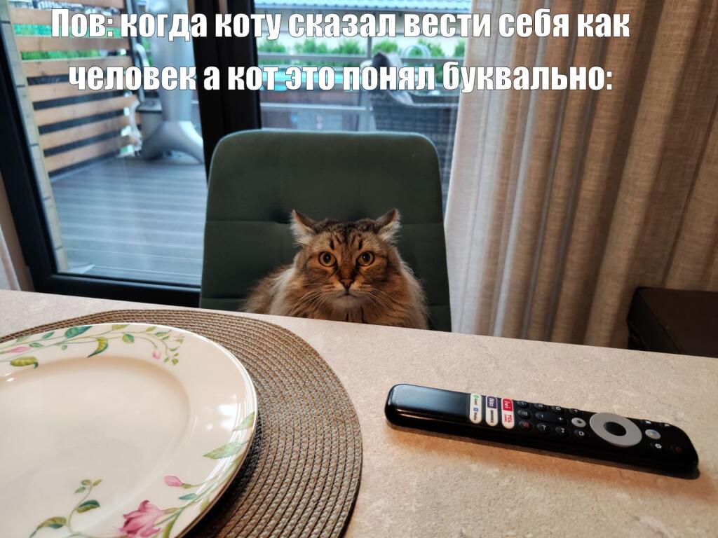 Мем от Dtv memes