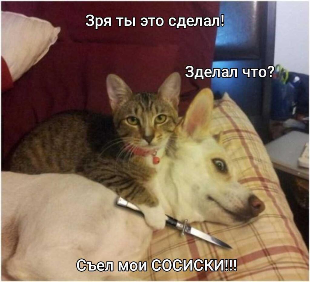 Мем от Kittlez987