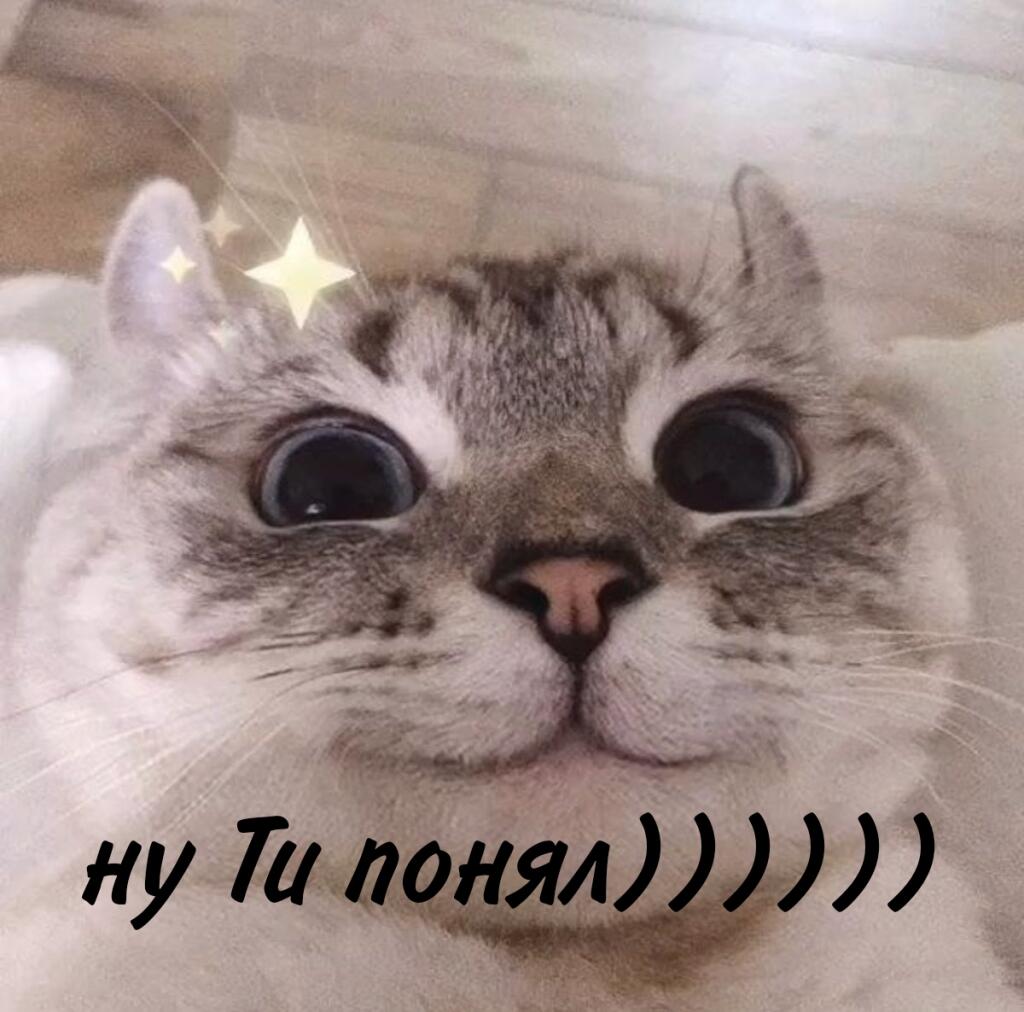 Когда пришел кот тебе на живот и намикает)