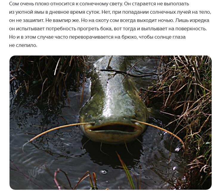 ещё some информации о somах