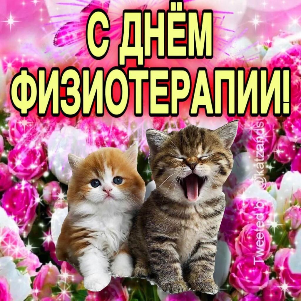 С днём физиотерапии!
8 Сентября - Отмечается день физиотерапии
Это когда толпой в подъезде запинывают?