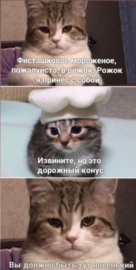 Pov:один день глазами мороженщика