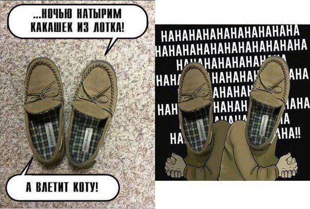Мировой заговор тапок, коты не причём!