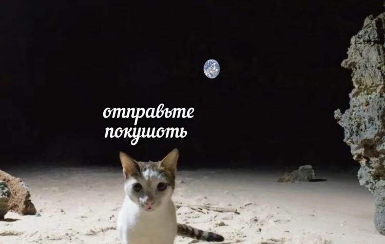 Мем от timacat2 в С.С.К.Р.