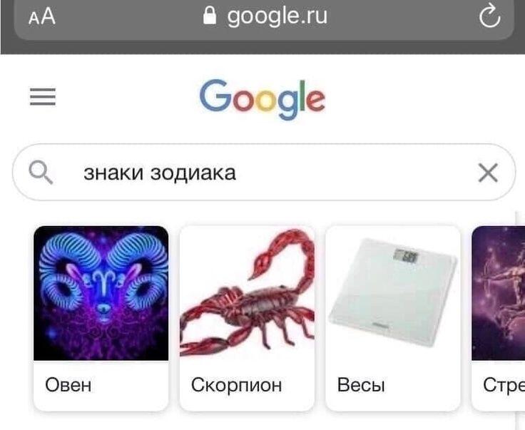 Весы какие-то печальные, я думаю им сегодня надо остаться дома с чайком
