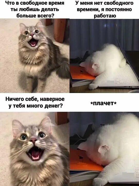 Грусные вздохи бедности