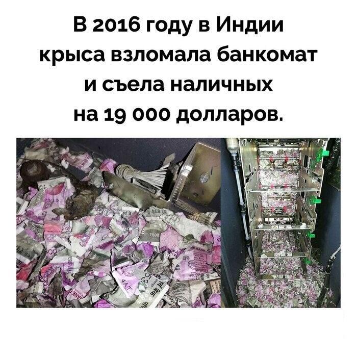 Мем от Original Flowery
